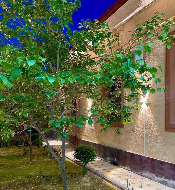 Amor Fati Tashkent Exterior foto